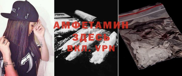 шишки Армянск