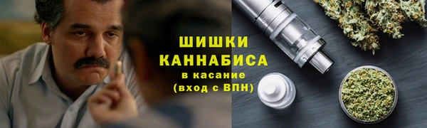 шишки Армянск