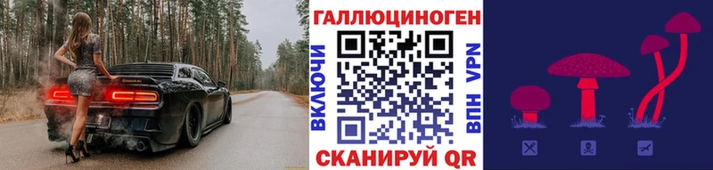 Псилоцибиновые грибы Psilocybe  цены   Уржум 